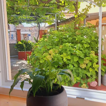 Kollmann - 50m From Arena, Private Courtyard Apartment Pula