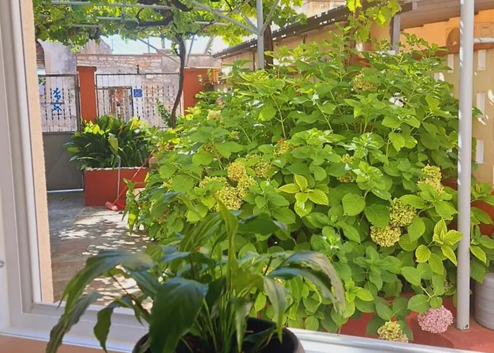 Kollmann Apartman Póla